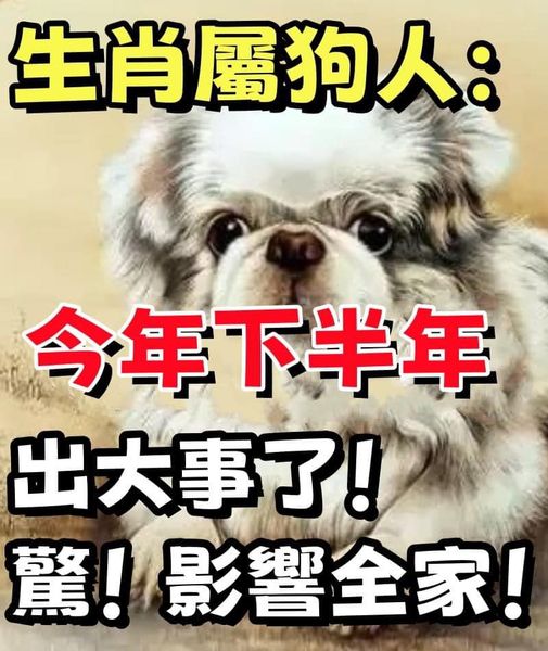 生肖狗：紙包不住火，好事來啦！（下半年）有躲不過的「喜事」！